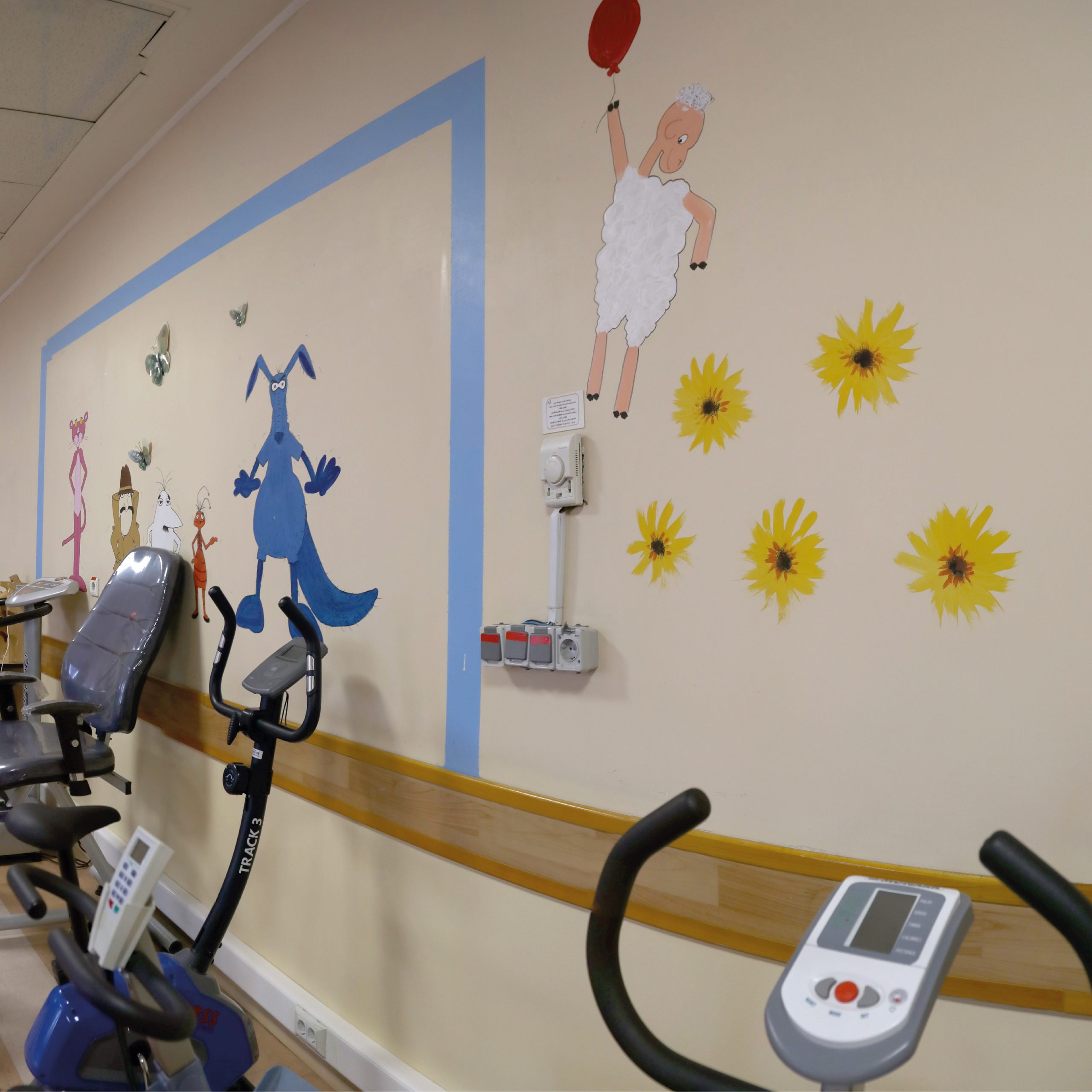 physiotherapy